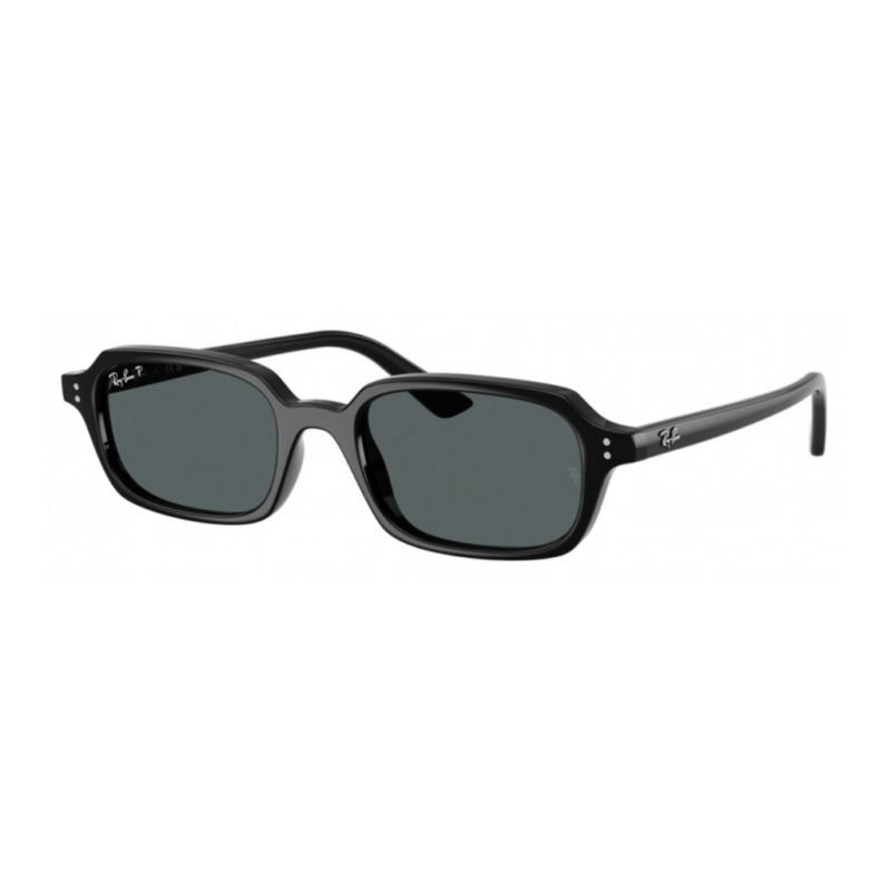 RAY-BAN 4455 667781 52