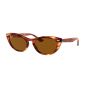 RAY-BAN 4314N 954/33 54