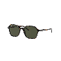 RAY-BAN RB2194 902/31 51